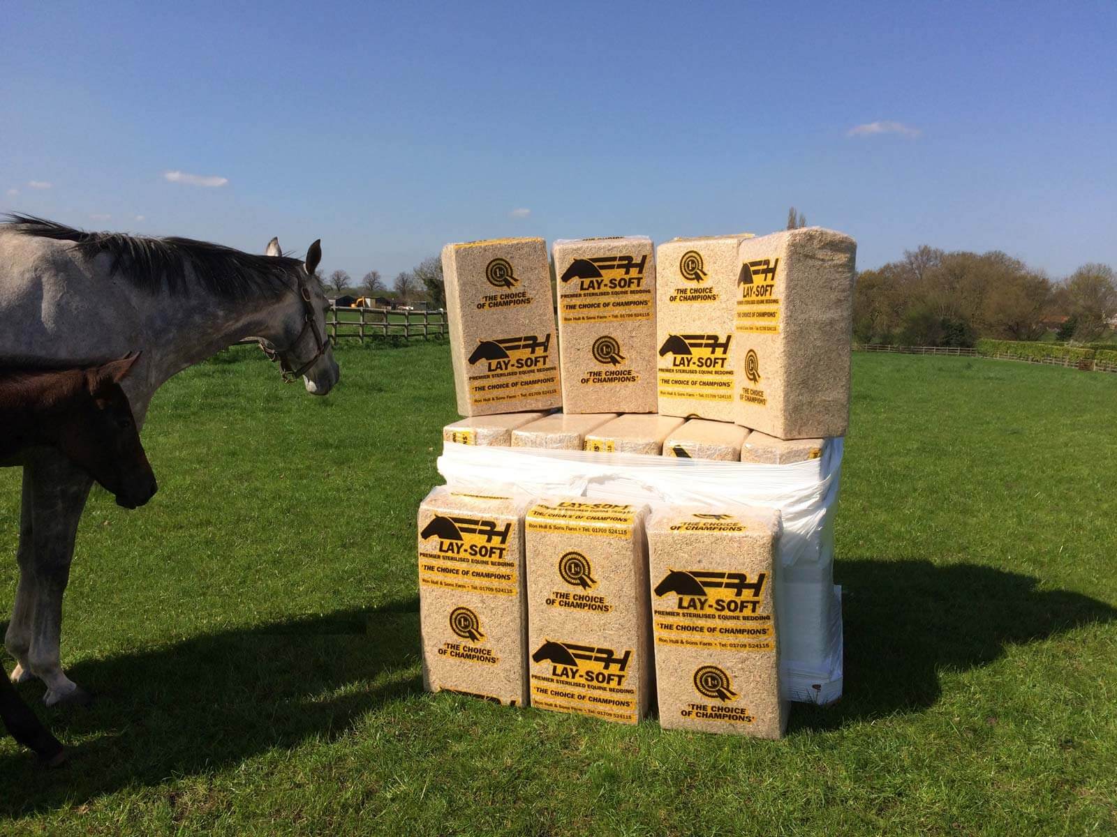 LaySoft Equine & Animal Bedding Ron Hull Group