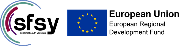 EU SFSY logo graphics
